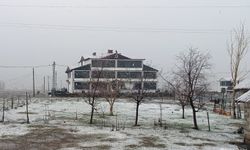 Bingöl'de kar yağışı etkili oldu