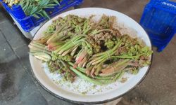 Bingöl'de "Yayla muzu" tezgâhlarda yerini aldı