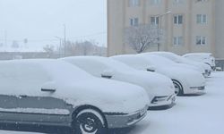 Bitlis’te nisan ayında kar yağışı etkili oldu