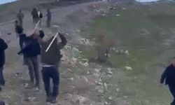 Şırnak'ta arazi kavgasında 3 tutuklama