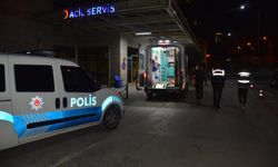 Budama yaparken yaralanan yaşlı adam hayatını kaybetti