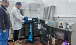 Buzağı ölümlerine "ozon tedavili" ve "yoğun bakımlı" çözüm