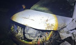 Cizre'de kamyonet şarampole yuvarlandı: Bir ölü