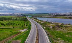 Diyarbakır'da 5 bin ağaç dikildi, 6 bin 930 fidan dağıtıldı