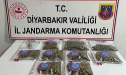 Diyarbakır’da 23 kilo esrar ele geçirildi