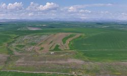 Diyarbakır'da 250 dönüm buğday tarlasına sabotaj iddiası