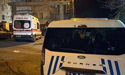 Diyarbakır'da aile içi kavgada 1 ölü 1 ağır yaralı: Ölen kadının ismi belli oldu