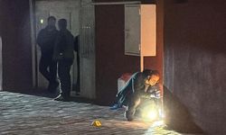 Diyarbakır'da aile trajedisi: Eşini ve kızını silahla vurdu, kendini ihbar etti