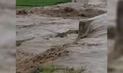 Diyarbakır'da dere taştı, ekinler sular altında kaldı