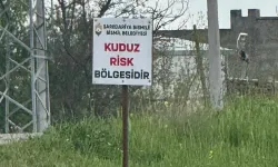 Diyarbakır'da kuduz vakası: "Riskli bölge" ilan edildi