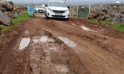 Diyarbakır'da mahalle sakinlerinden yetkililere yol çağrısı