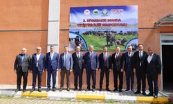 Diyarbakır’da manda yetiştiriciliği masaya yatırıldı