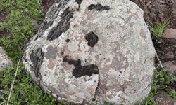Diyarbakır'da taşların üzerindeki yosunlar kına gibi kullanılıyor