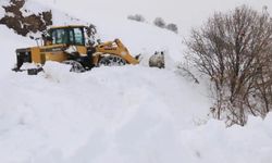 Doğu’da kar etkisini sürdürüyor: 77 yerleşim yerinin yolu kapandı