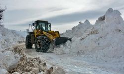 Doğu’da kış yeniden etkisini gösterdi: 82 yerleşim yerinin yolu kapandı