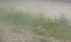 Bir anda bastırdı! Diyarbakır'da yüzlerce dönüm tarla yerle bir oldu