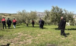 Dolu yağışı ağaçlara zarar verdi; Hasar tespit çalışmaları başladı