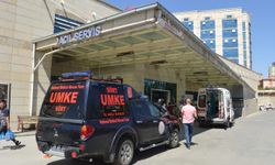 Dut toplarken 6 metreden düşen şahıs ağır yaralandı