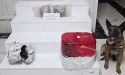 Diyarbakır'da su arıtma cihazında esrar ele geçirildi