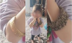 Evin önünde oynarken kaybolan 4 yaşındaki kız çocuktan haber alınamıyor