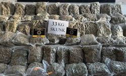 Gaziantep'te narkotik operasyon: 33 kilo skunk ele geçirildi