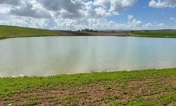 Kuraklıkla kuruma noktasına gelen gölet yağışlarla yeniden canlandı