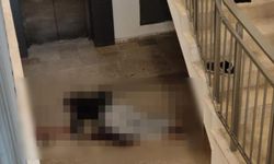 Güvercin beslerken düşen şahıs hayatını kaybetti