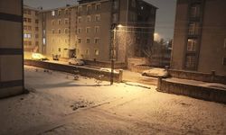 Kars’ta nisan ayının son günlerinde kar etkili oldu