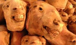 "Pişmiş kelle gibi sırıtmak" ne demek?