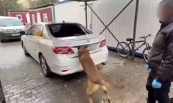 Diyarbakır'da 6 kilo kokain ele geçirildi