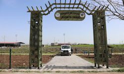 Diyarbakır’da lavanta mevsimi başlıyor