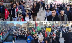 Malatya'da "Kilitli Kapılar Sessiz İnfazlar" yürüyüşü