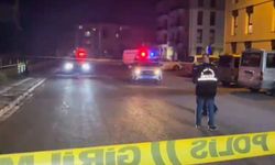 Malatya'da silahlı saldırı: Bir yaralı