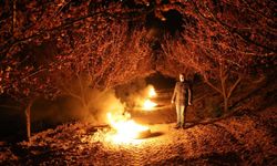 Malatya'da zirai don alarmı: Çiftçiler ateşle önlem aldı