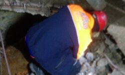 Mardin'de ahır çöktü: 2 büyükbaş hayvan telef oldu