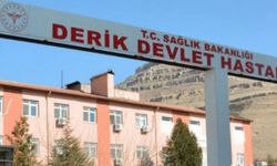 Mardin'de başhekim ve sekreteri darp: 1 ev hapsi, 1 adli kontrol