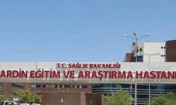 Mardin'de iki otomobil çarpıştı: 6'sı çocuk, 10 yaralı