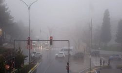 Mardin’de yoğun sis etkili oldu