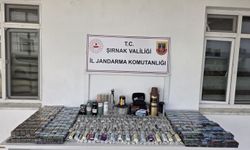 Şırnak'ta kaçakçılık operasyonu: 146 şüpheliye işlem
