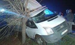 Adıyaman'da kamyonet şarampole girerek ağaca çarptı: 1 yaralı