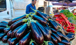 Diyarbakır'da patlıcan fiyatları çakıldı: 300 TL'den 40 TL'ye düştü