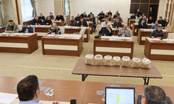 Şanlıurfa TİGEM'de 100 tonu aşkın Antep fıstığı ihaleyle satıldı