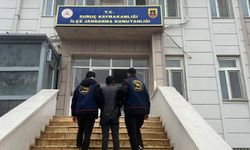 Şanlıurfa'da 4 yıl hapis cezası bulunan hükümlü yakalandı