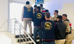 Şanlıurfa'da bağ evi hırsızlığı aydınlatıldı