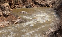 Şanlıurfa’da esrarengiz girdap: Tonlarca su, bir anda kayboluyor