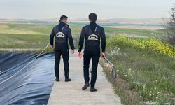 Şanlıurfa’da gölete düşen tilki kurtarıldı