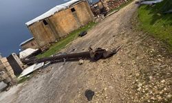 Şanlıurfa'da şiddetli fırtına çatıları uçurdu, elektrik direkleri devrildi