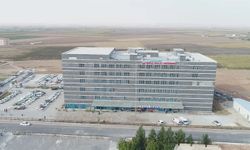 Şanlıurfa’da tekeri patlayan araç devrildi: 8 yaralı