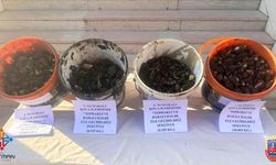 Sason'da kaçak salep sökümüne ağır ceza: 2 milyon 800 bin lira