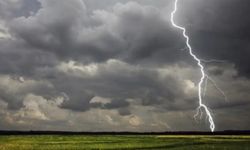 Mardin'de yıldırım düşmesi sonucu 8 koç telef oldu